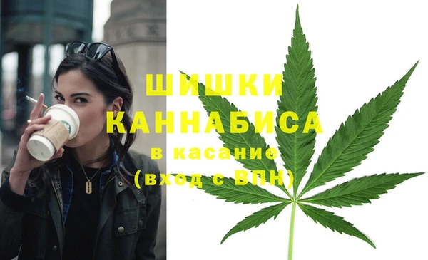 крисы Михайловка