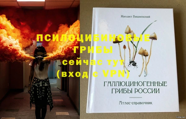 кокс Михайлов