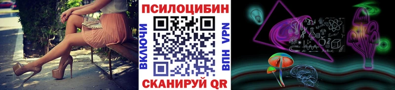 kraken   Фокино  Псилоцибиновые грибы GOLDEN TEACHER 